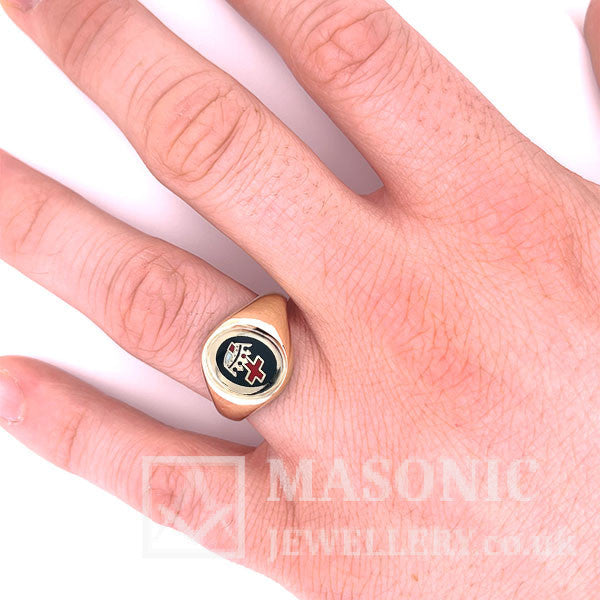 9ct yellow gold royal black constitution ring